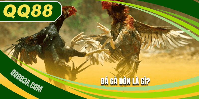 Đá gà đòn là gì?